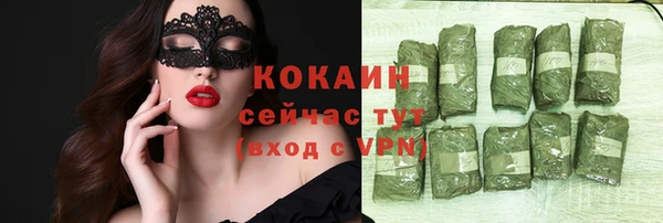 ALPHA-PVP Няндома