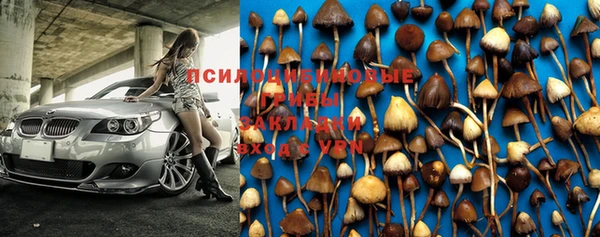 винт Нягань