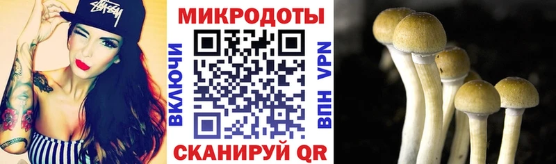 Галлюциногенные грибы Cubensis  Туринск 