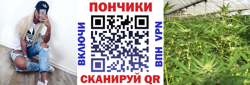 Канабис план Туринск